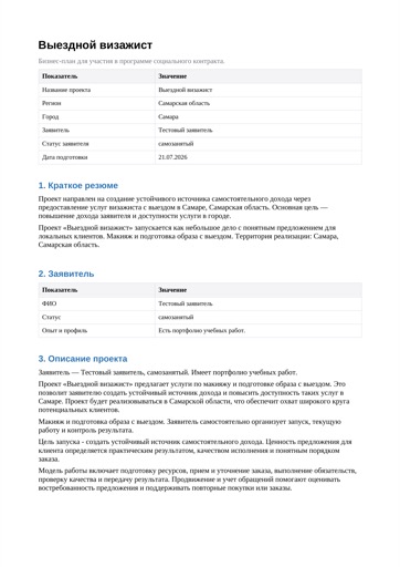 Пример страницы бизнес-плана SOCFORM на синтетических данных